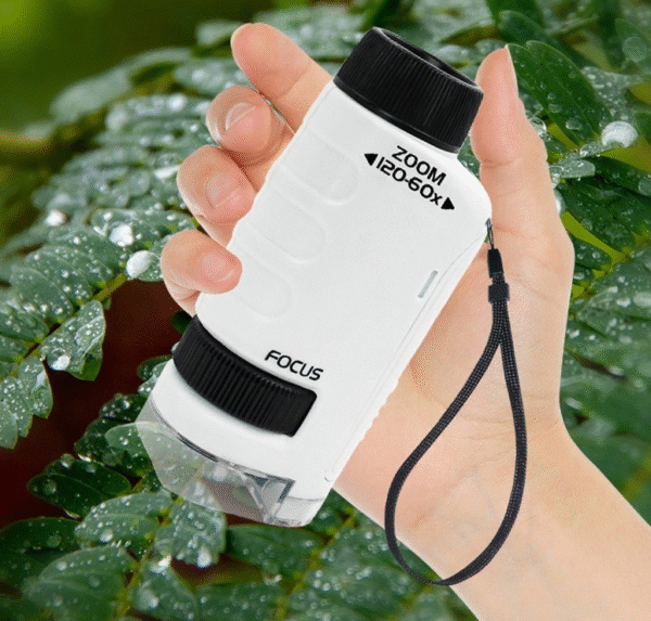 Bacterial microscope primary school student science experiment toy portable children's handheld microscope professional level - Image 3