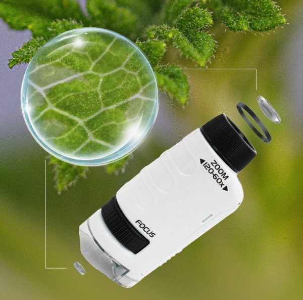Bacterial microscope primary school student science experiment toy portable children's handheld microscope professional level - Image 5